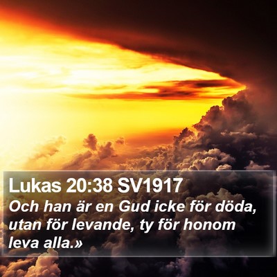 Lukas 20:38 SV1917 Bible Verse Image