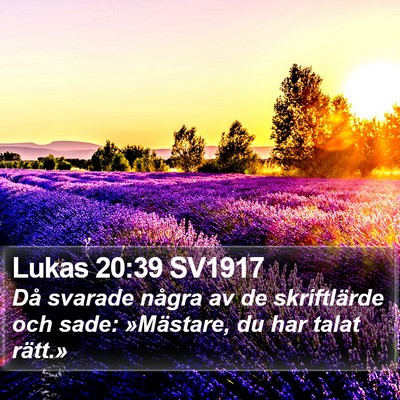 Lukas 20:39 SV1917 Bible Verse Image