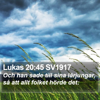 Lukas 20:45 SV1917 Bible Verse Image