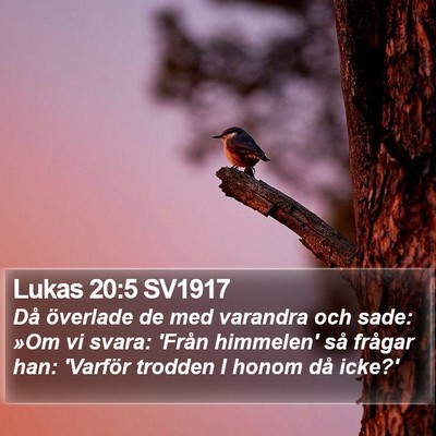 Lukas 20:5 SV1917 Bible Verse Image
