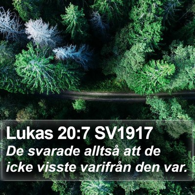 Lukas 20:7 SV1917 Bible Verse Image