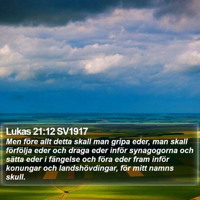 Lukas 21:12 SV1917 Bible Verse Image