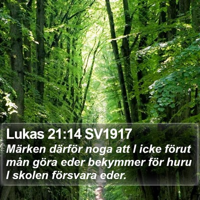 Lukas 21:14 SV1917 Bible Verse Image