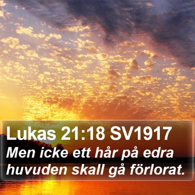 Lukas 21:18 SV1917 Bible Verse Image