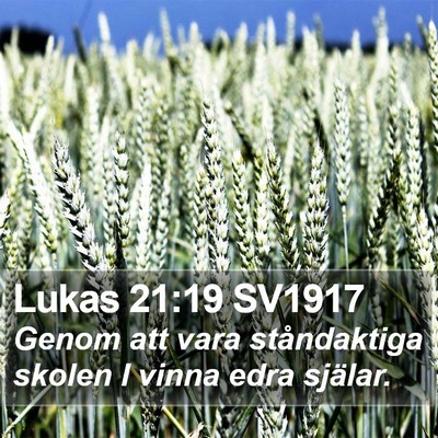 Lukas 21:19 SV1917 Bible Verse Image