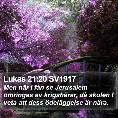 Lukas 21:20 SV1917 Bible Verse Image