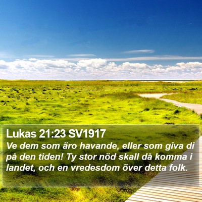Lukas 21:23 SV1917 Bible Verse Image