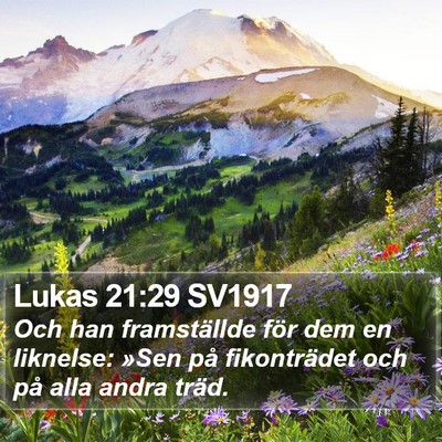 Lukas 21:29 SV1917 Bible Verse Image
