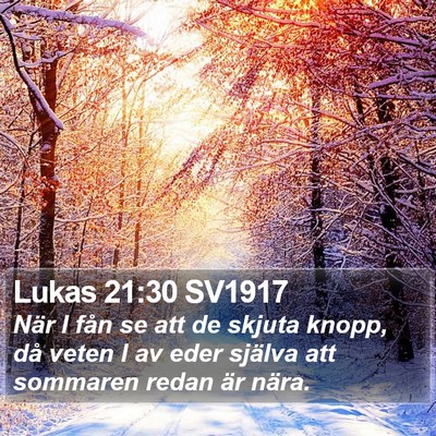 Lukas 21:30 SV1917 Bible Verse Image