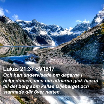 Lukas 21:37 SV1917 Bible Verse Image