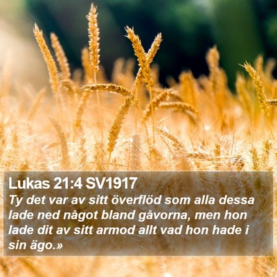 Lukas 21:4 SV1917 Bible Verse Image