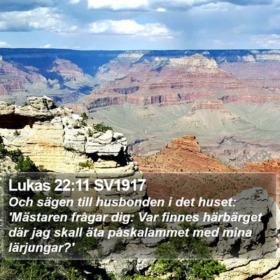 Lukas 22:11 SV1917 Bible Verse Image