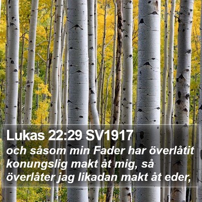 Lukas 22:29 SV1917 Bible Verse Image