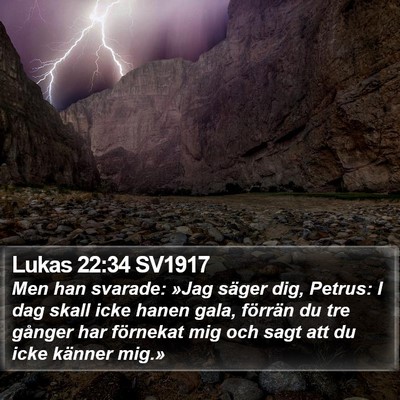 Lukas 22:34 SV1917 Bible Verse Image