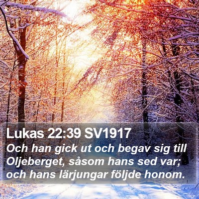 Lukas 22:39 SV1917 Bible Verse Image