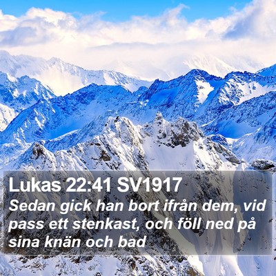 Lukas 22:41 SV1917 Bible Verse Image