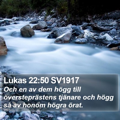 Lukas 22:50 SV1917 Bible Verse Image