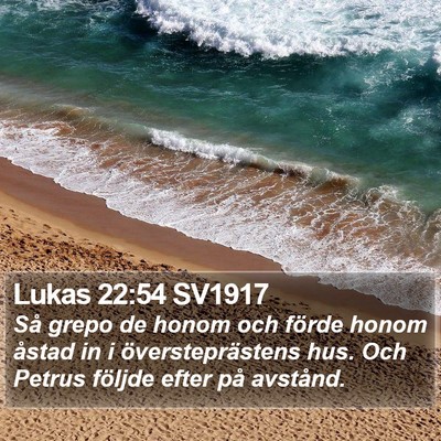 Lukas 22:54 SV1917 Bible Verse Image
