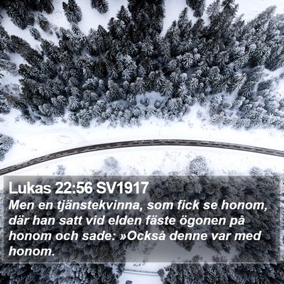 Lukas 22:56 SV1917 Bible Verse Image