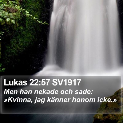 Lukas 22:57 SV1917 Bible Verse Image