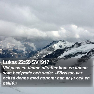Lukas 22:59 SV1917 Bible Verse Image