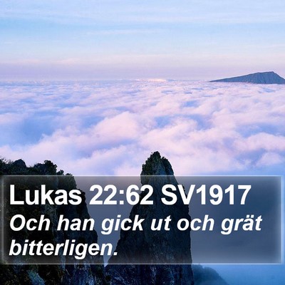 Lukas 22:62 SV1917 Bible Verse Image