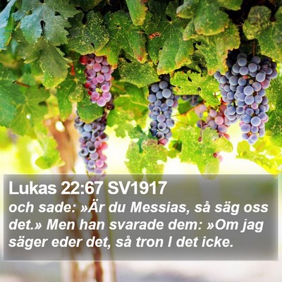 Lukas 22:67 SV1917 Bible Verse Image