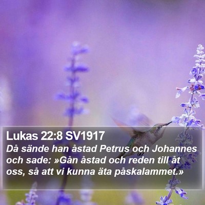 Lukas 22:8 SV1917 Bible Verse Image