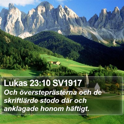 Lukas 23:10 SV1917 Bible Verse Image