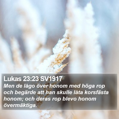 Lukas 23:23 SV1917 Bible Verse Image