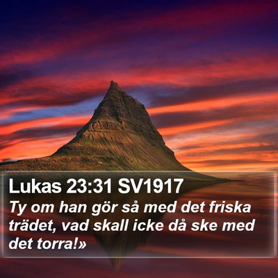 Lukas 23:31 SV1917 Bible Verse Image