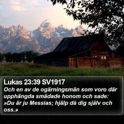 Lukas 23:39 SV1917 Bible Verse Image