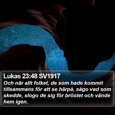 Lukas 23:48 SV1917 Bible Verse Image