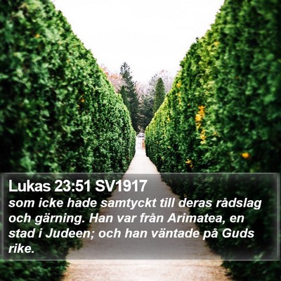 Lukas 23:51 SV1917 Bible Verse Image