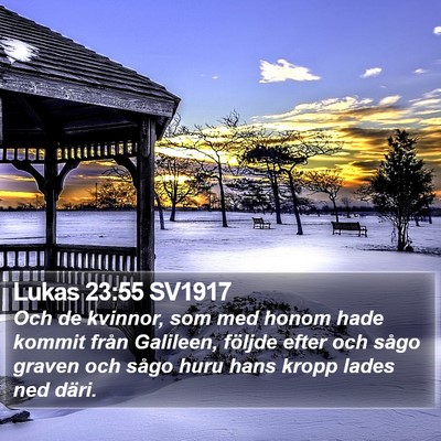 Lukas 23:55 SV1917 Bible Verse Image