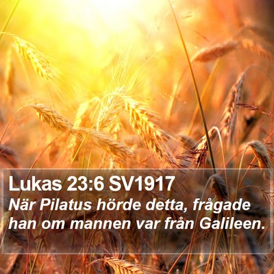 Lukas 23:6 SV1917 Bible Verse Image