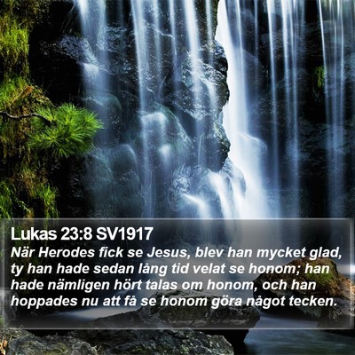 Lukas 23:8 SV1917 Bible Verse Image