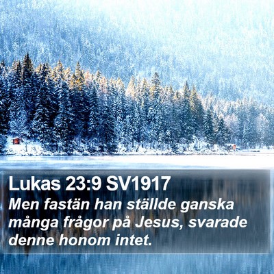 Lukas 23:9 SV1917 Bible Verse Image