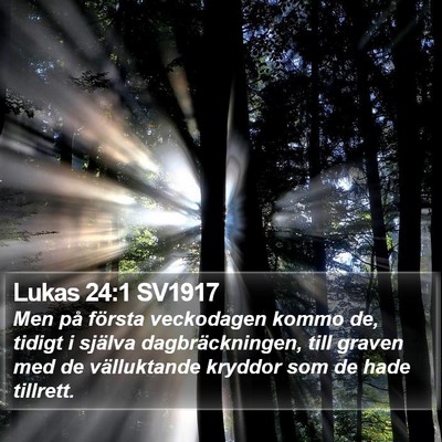 Lukas 24:1 SV1917 Bible Verse Image
