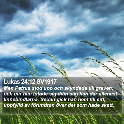 Lukas 24:12 SV1917 Bible Verse Image