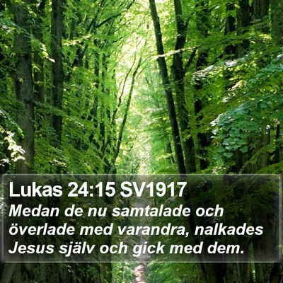 Lukas 24:15 SV1917 Bible Verse Image