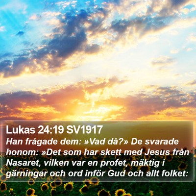 Lukas 24:19 SV1917 Bible Verse Image