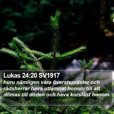 Lukas 24:20 SV1917 Bible Verse Image