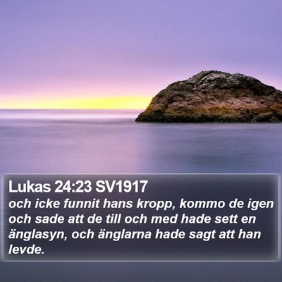 Lukas 24:23 SV1917 Bible Verse Image