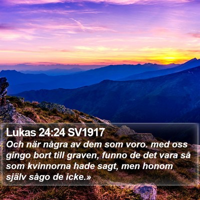 Lukas 24:24 SV1917 Bible Verse Image