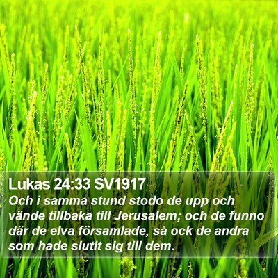 Lukas 24:33 SV1917 Bible Verse Image
