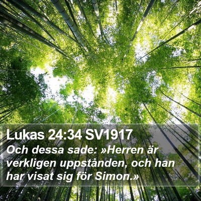 Lukas 24:34 SV1917 Bible Verse Image