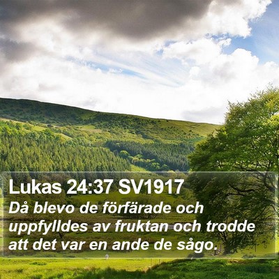 Lukas 24:37 SV1917 Bible Verse Image