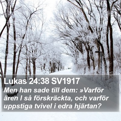 Lukas 24:38 SV1917 Bible Verse Image