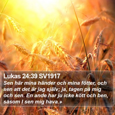 Lukas 24:39 SV1917 Bible Verse Image